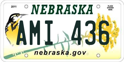 NE license plate AMI436