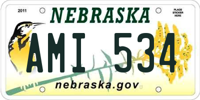 NE license plate AMI534