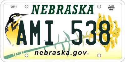 NE license plate AMI538
