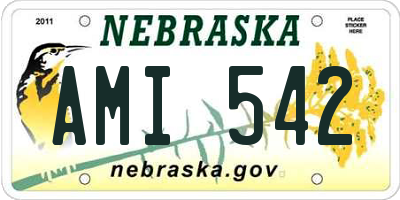 NE license plate AMI542