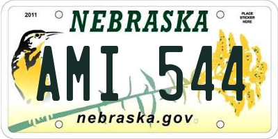 NE license plate AMI544