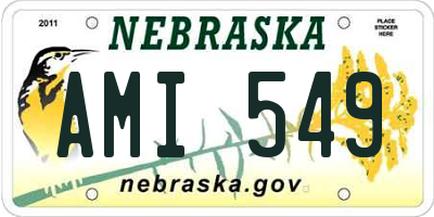 NE license plate AMI549