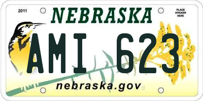 NE license plate AMI623