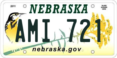 NE license plate AMI721