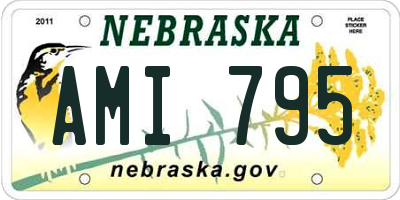 NE license plate AMI795