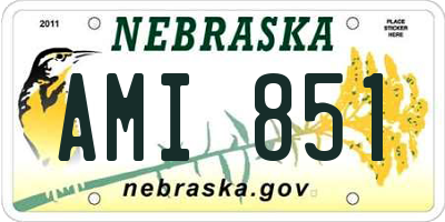 NE license plate AMI851