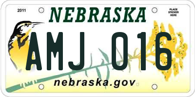 NE license plate AMJ016