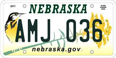 NE license plate AMJ036