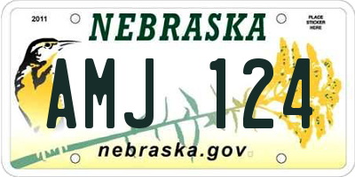 NE license plate AMJ124