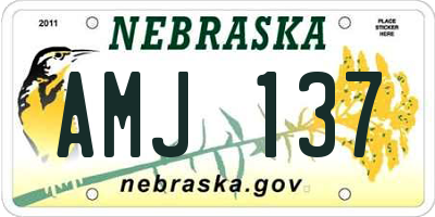 NE license plate AMJ137