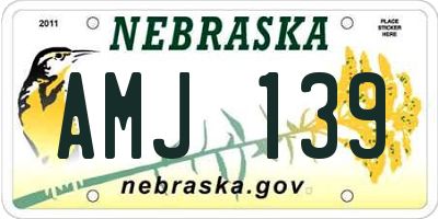 NE license plate AMJ139