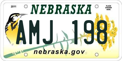 NE license plate AMJ198