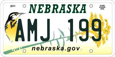 NE license plate AMJ199
