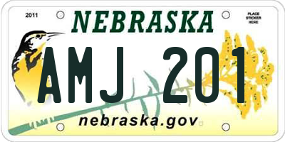 NE license plate AMJ201