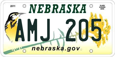 NE license plate AMJ205