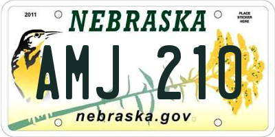 NE license plate AMJ210