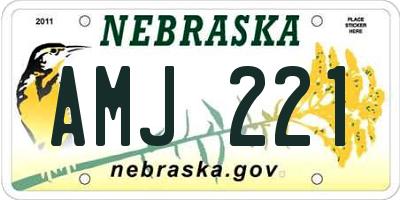 NE license plate AMJ221
