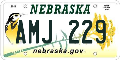 NE license plate AMJ229