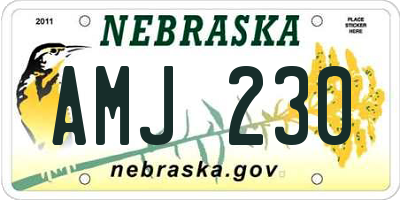 NE license plate AMJ230