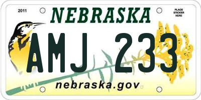 NE license plate AMJ233