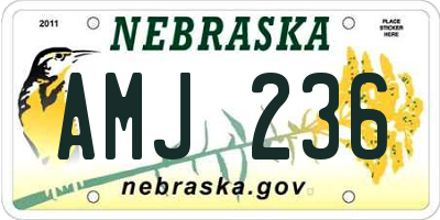 NE license plate AMJ236
