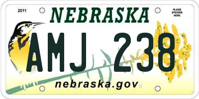 NE license plate AMJ238