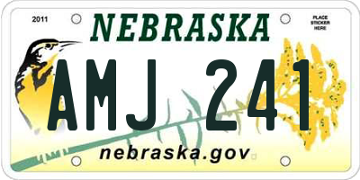 NE license plate AMJ241