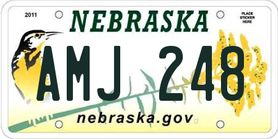 NE license plate AMJ248