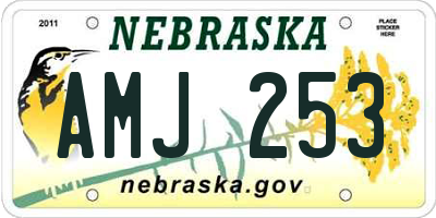 NE license plate AMJ253