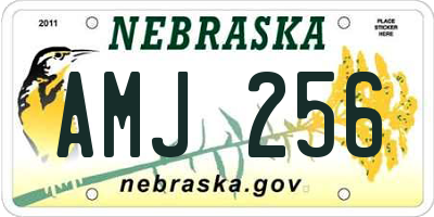 NE license plate AMJ256