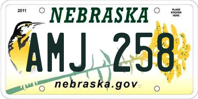 NE license plate AMJ258