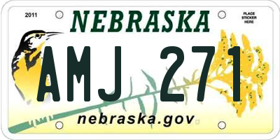 NE license plate AMJ271