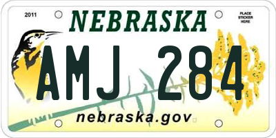 NE license plate AMJ284