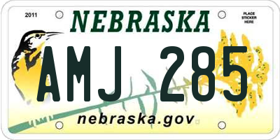 NE license plate AMJ285