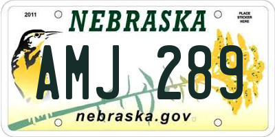 NE license plate AMJ289