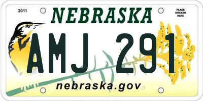 NE license plate AMJ291