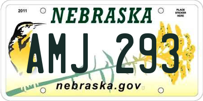 NE license plate AMJ293