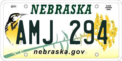 NE license plate AMJ294