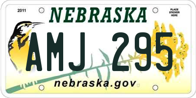 NE license plate AMJ295