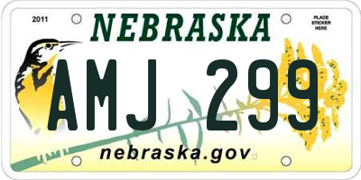 NE license plate AMJ299