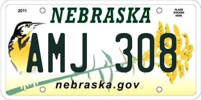 NE license plate AMJ308