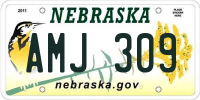 NE license plate AMJ309