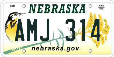 NE license plate AMJ314