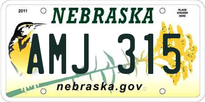 NE license plate AMJ315
