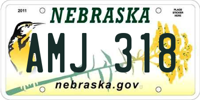 NE license plate AMJ318