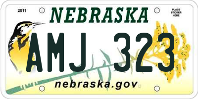 NE license plate AMJ323