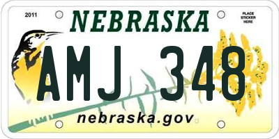 NE license plate AMJ348