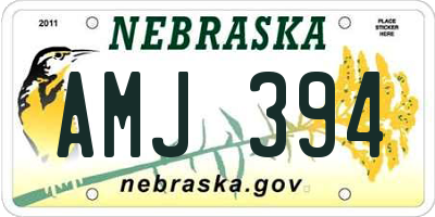 NE license plate AMJ394