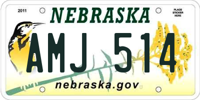 NE license plate AMJ514