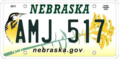 NE license plate AMJ517